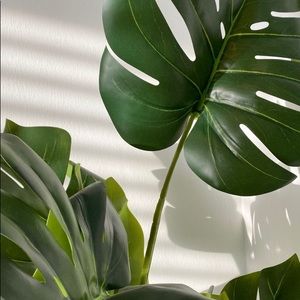 Meet your Posher, Ava